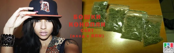 индика Майский