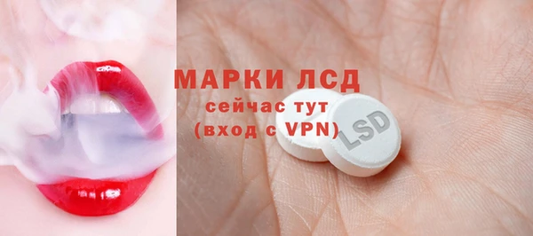 индика Майский