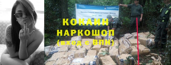 индика Майский