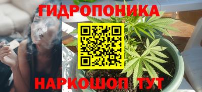 PSILOCYBIN Балахна