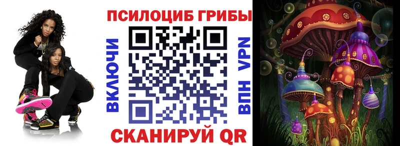 Псилоцибиновые грибы мухоморы  продажа наркотиков  Туймазы 
