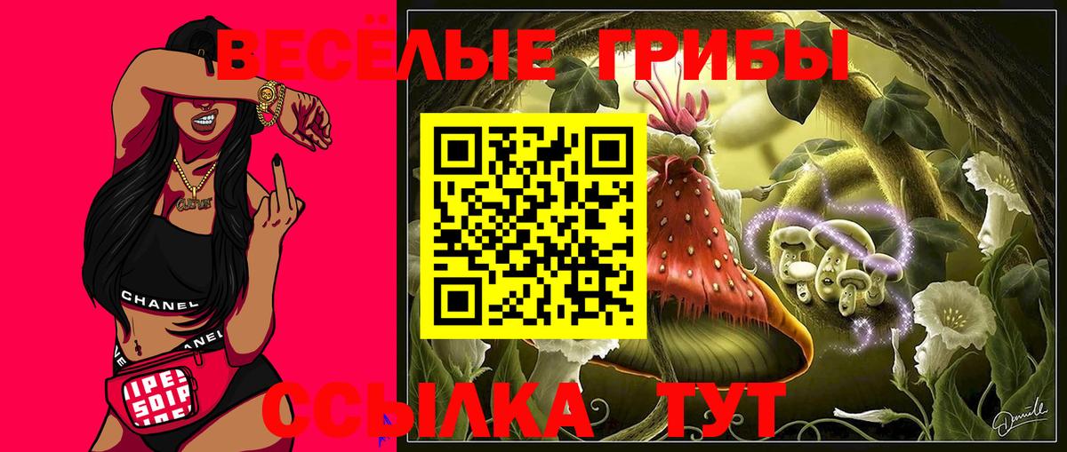 Псилоцибиновые грибы MAGIC MUSHROOMS Туймазы