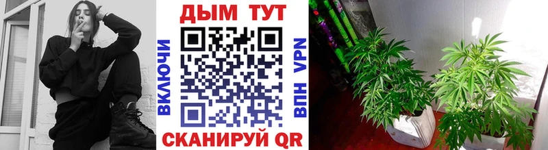 Конопля марихуана  где купить   Туймазы 